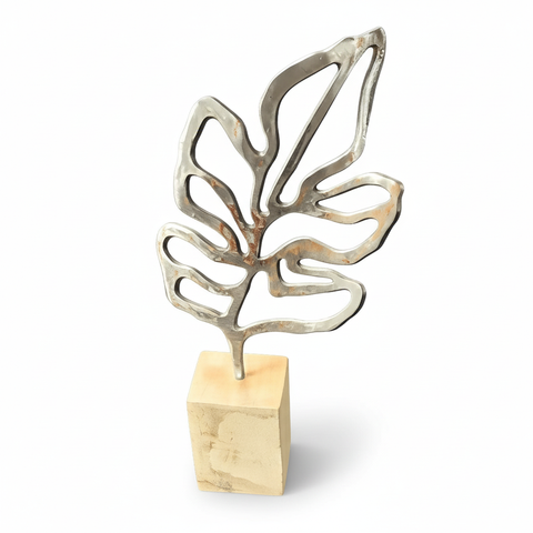 Sculpture de feuille nettoyée