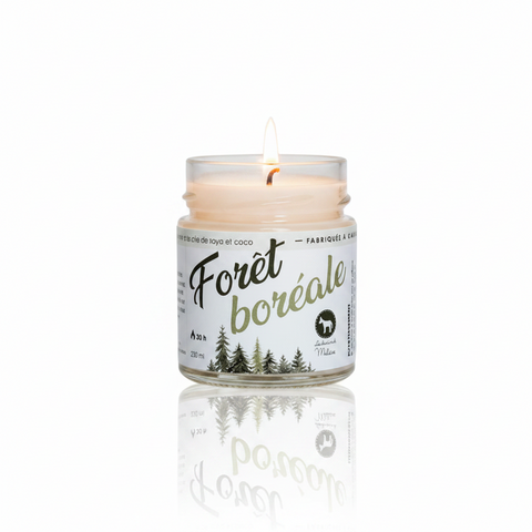 Bougie naturelle forêt boréale