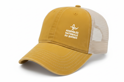 Casquette style camionneur