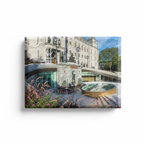 Aimant du parlement