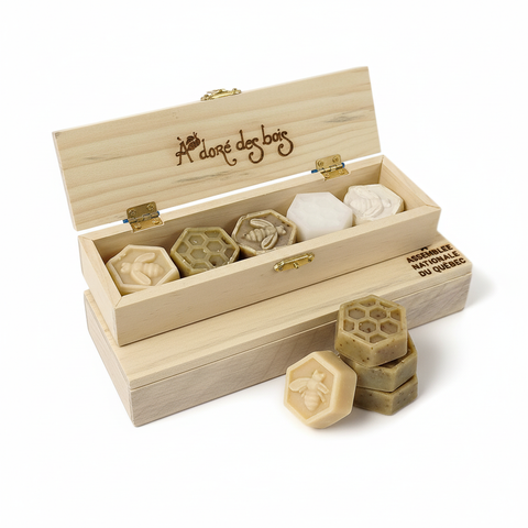 Coffret découverte savons solides