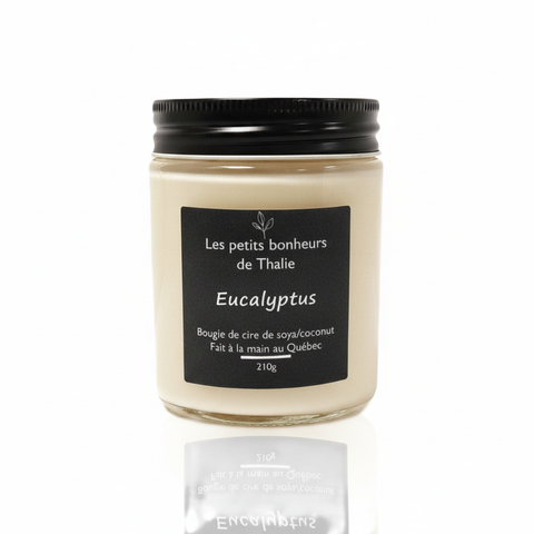 Bougie Eucalyptus - Photo professionnelle