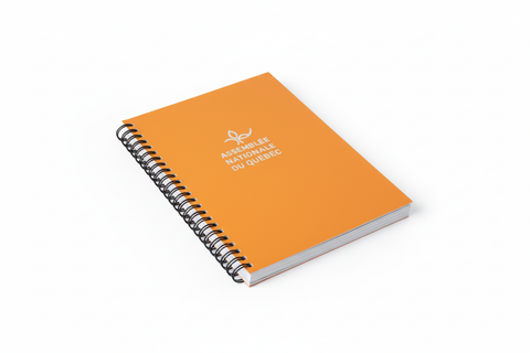 Carnet Orange