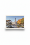 Carte8 professionnelle