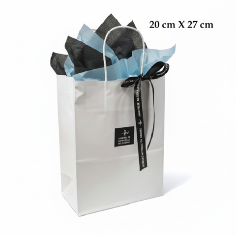 Sac cadeau 20x27 cm professionnel