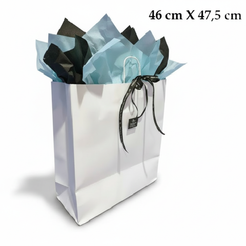 Sac cadeau sur fond blanc pur